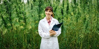 medical-marijuana-cannabis-storage.jpg